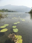 DSC01743